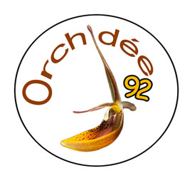 Association régionale Orchidée 92