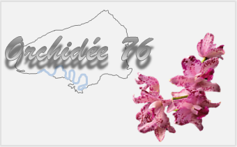 Association régionale Orchidée 76