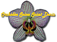Association régionale Orchidée SSD